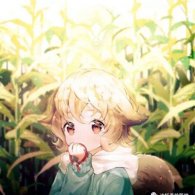天坛奖获奖名单
